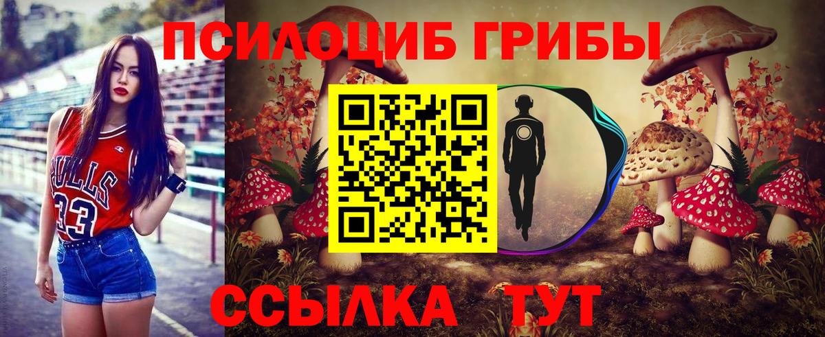 Шадринск  Галлюциногенные грибы Psilocybe  Вход с VPN 