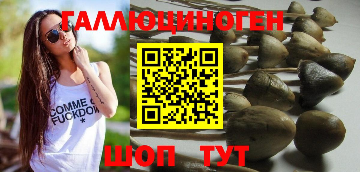 Псилоцибиновые грибы GOLDEN TEACHER Шадринск